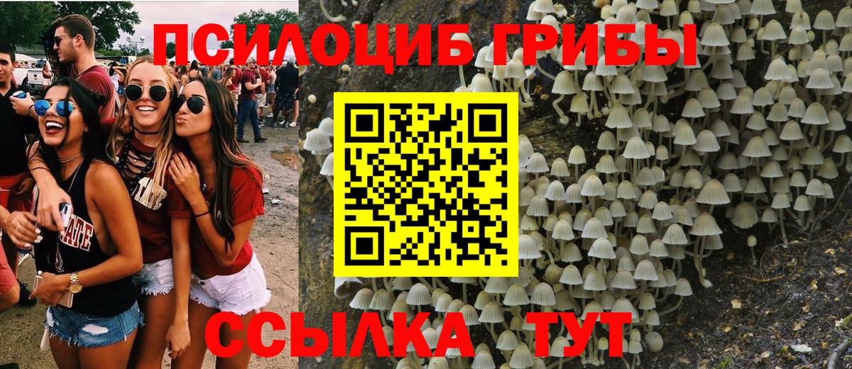 Можайск  Псилоцибиновые грибы Magic Shrooms  Вход с VPN  что такое   Псилоцибиновые грибы прущие грибы 